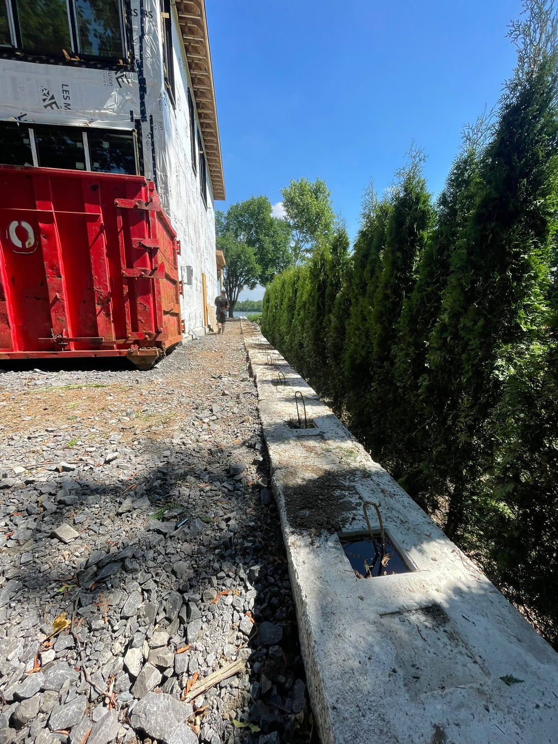 Windbreak & Privacy Hedge – Richmond Hill