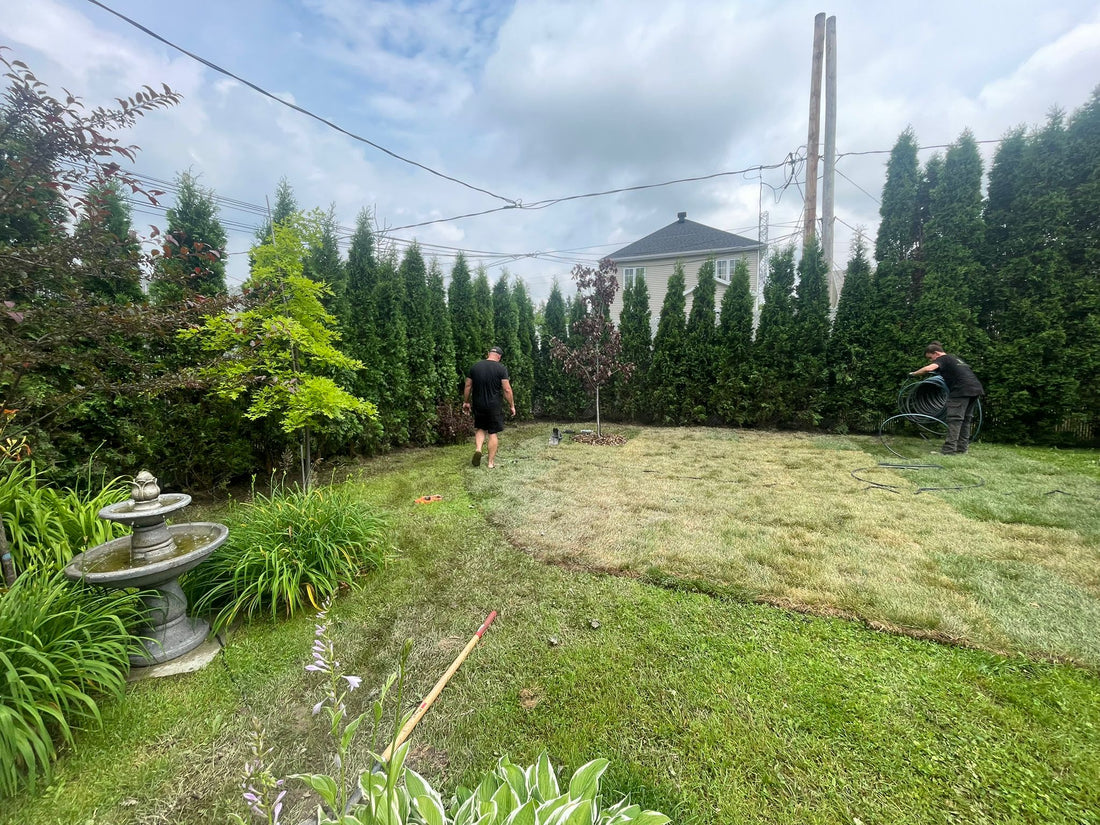 Large-Scale Hedge Installation – Markham